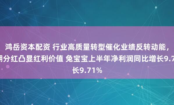 鸿岳资本配资 行业高质量转型催化业绩反转动能，中期分红凸显红利价值 兔宝宝上半年净利润同比增长9.71%