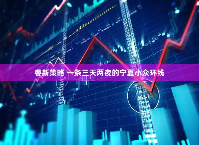 睿新策略 一条三天两夜的宁夏小众环线