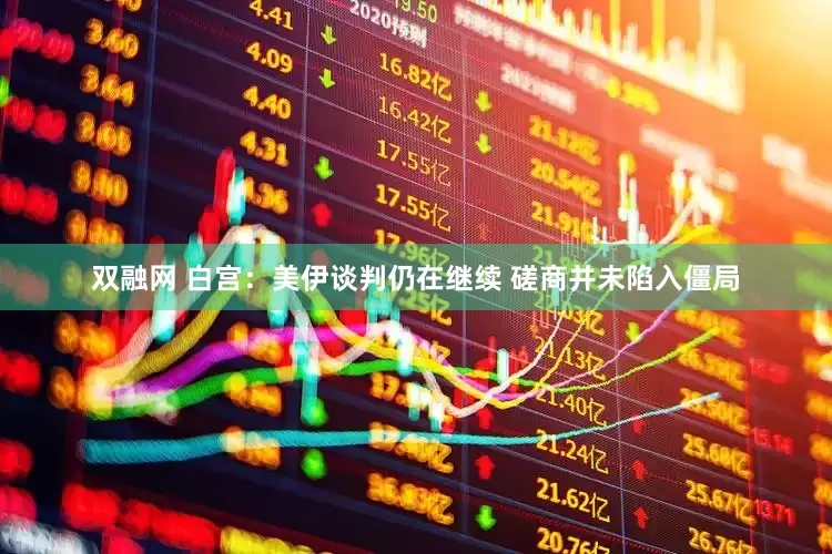 双融网 白宫：美伊谈判仍在继续 磋商并未陷入僵局